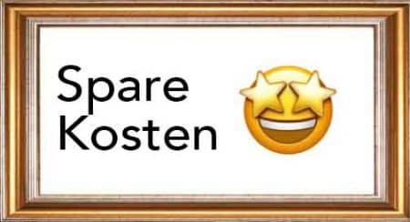 Spare Kosten
